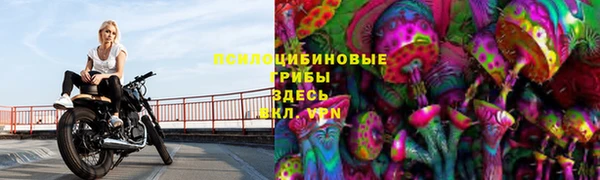 сатива Абдулино