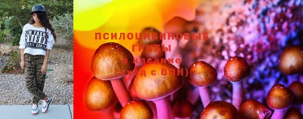 сатива Абдулино