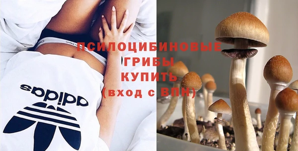 сатива Абдулино