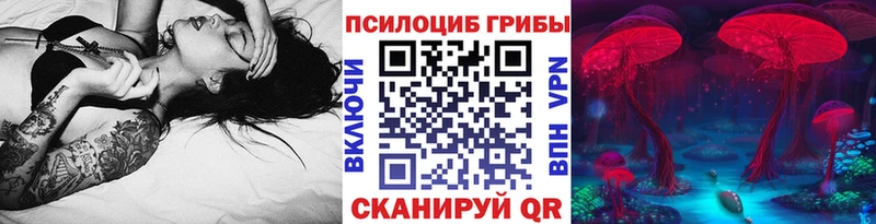 Псилоцибиновые грибы Cubensis  Жердевка 